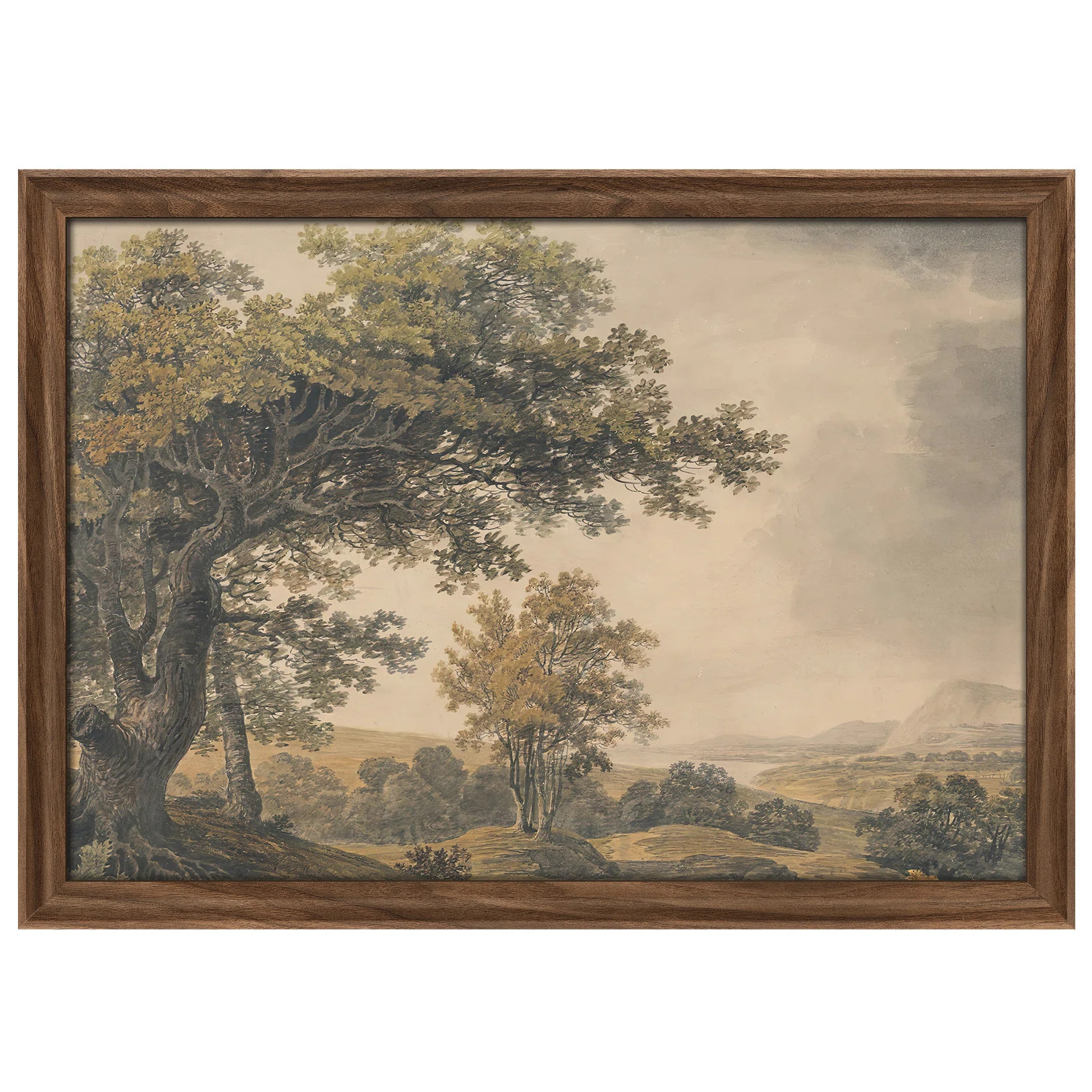 Framed Wall Art Vintage Antique Classic for Bedroom - 26"x36" Brown | Wayfair North America
