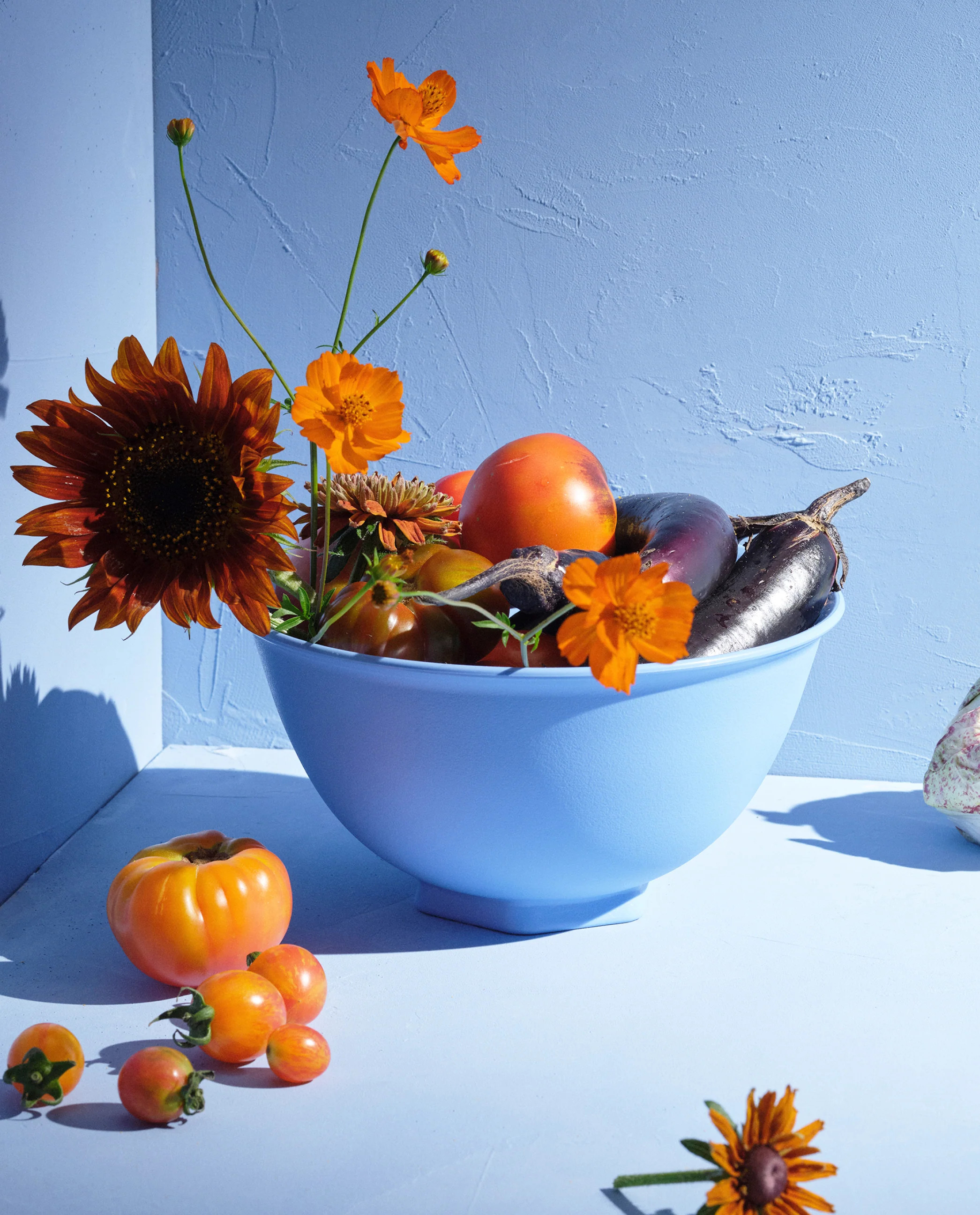 The reBowl® - Multiple Colors | Material