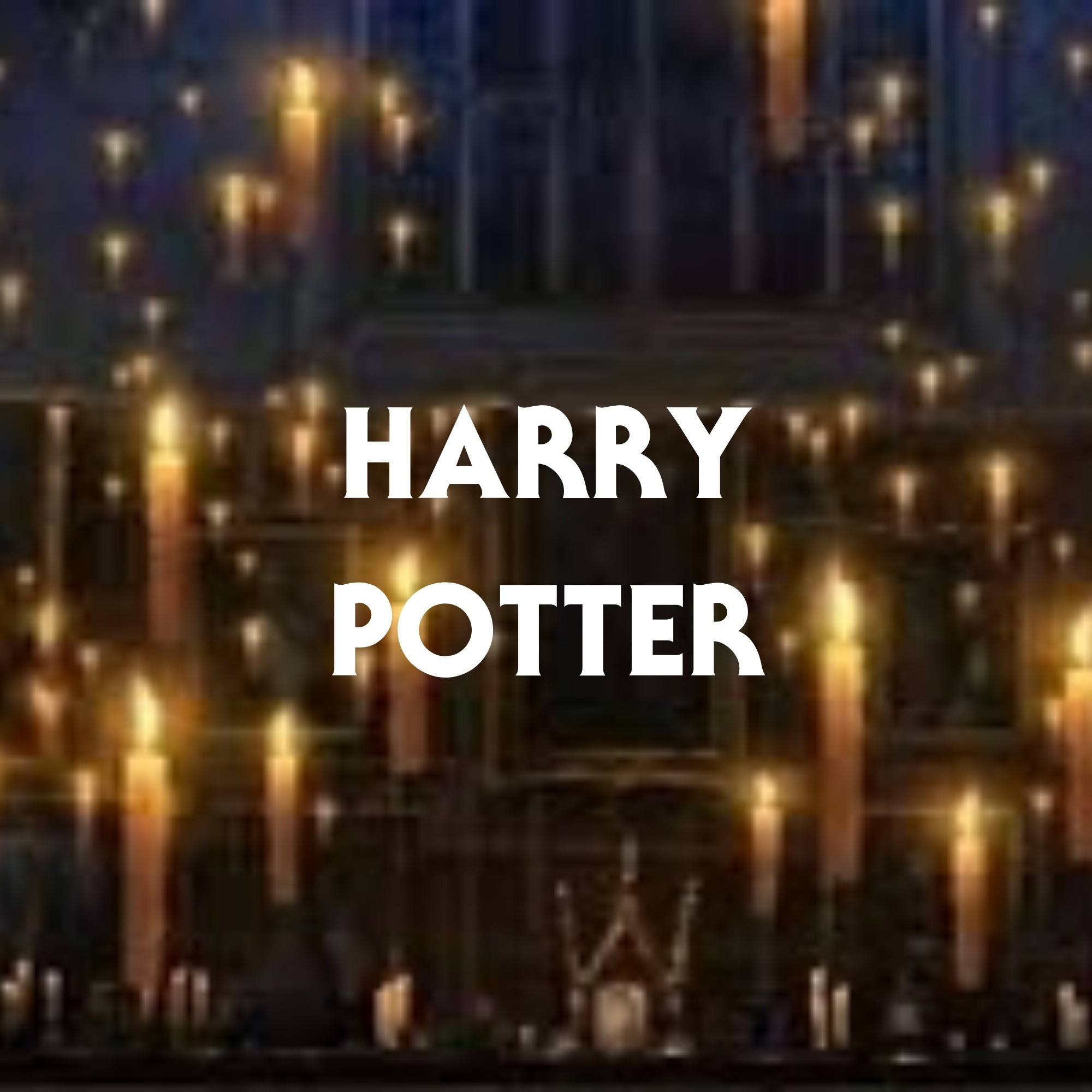 harry potter themed party