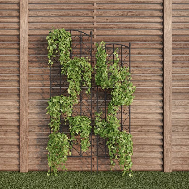 Set of 2 Garden Arch Trellis - Fencing for Climbing Vines, Roses, Potted Plants, and Flowers | Wayfair North America