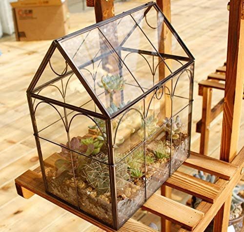 Amazon.com: ELEGANTLIFE Glass Geometric Plant Terrarium,Succulent & Air Planter for Home Garden O... | Amazon (US)