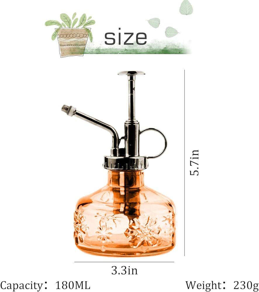 XXXFLOWER Glass Plant Mister Spray Bottle for Indoor Plant Spritzer Succulent Watering Bottle wit... | Amazon (US)
