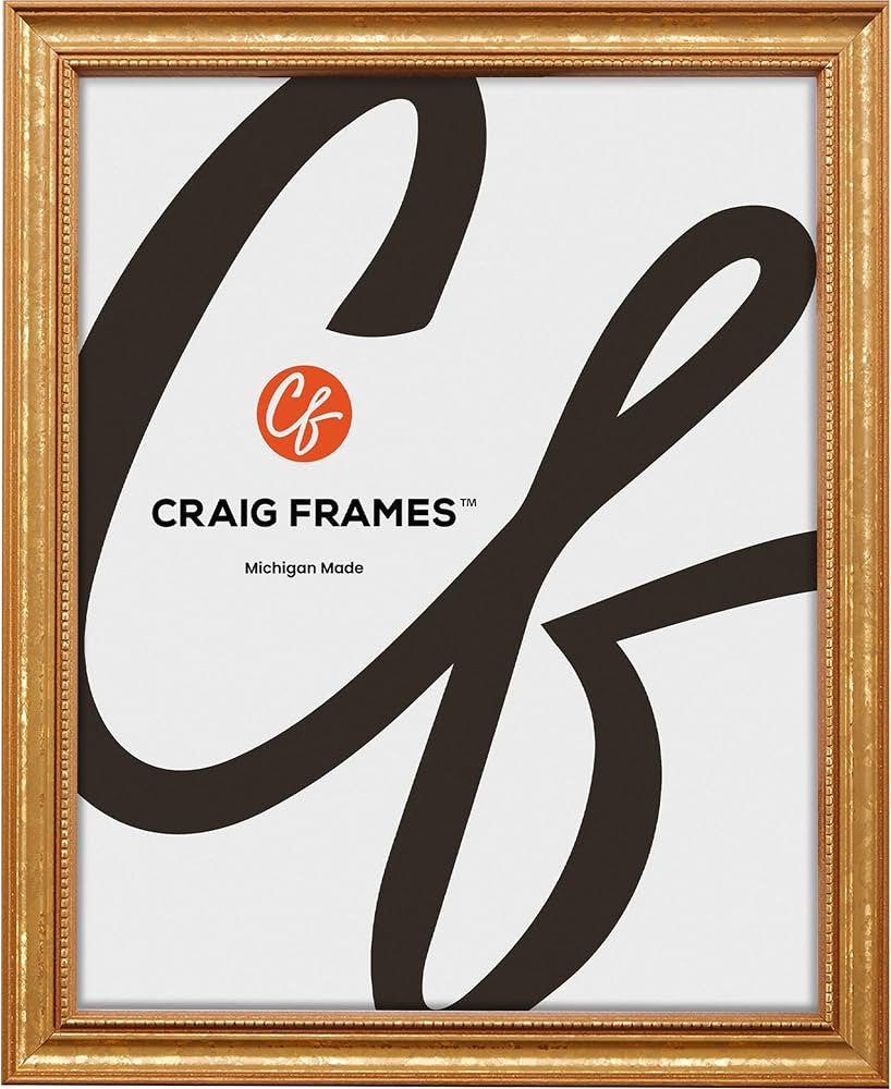 Craig Frames 314GD, 21x24 Picture Frame, Ornate Gold | Amazon (US)