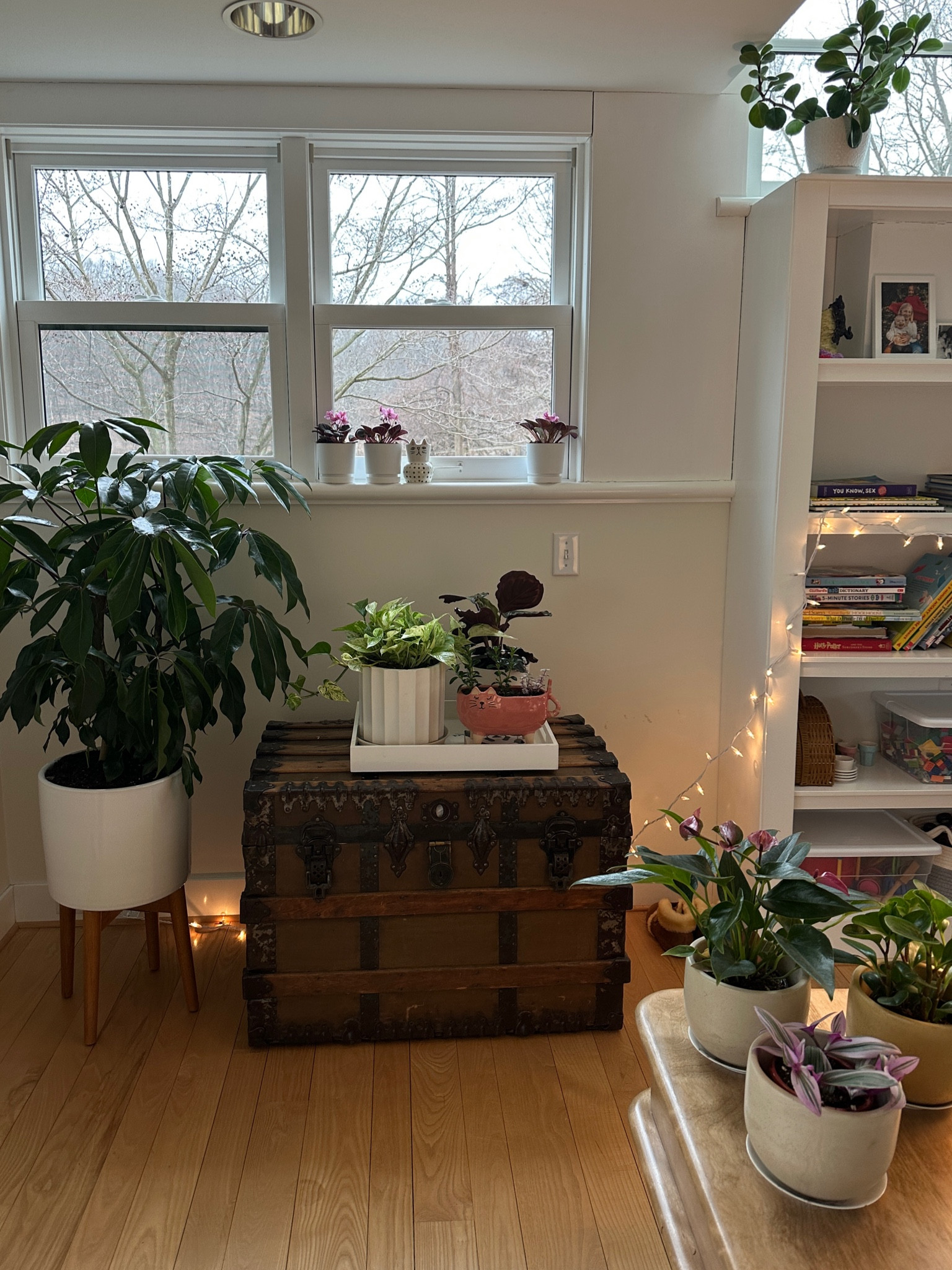 Happy plant corner

#LTKFamily #LTKHome #LTKKids