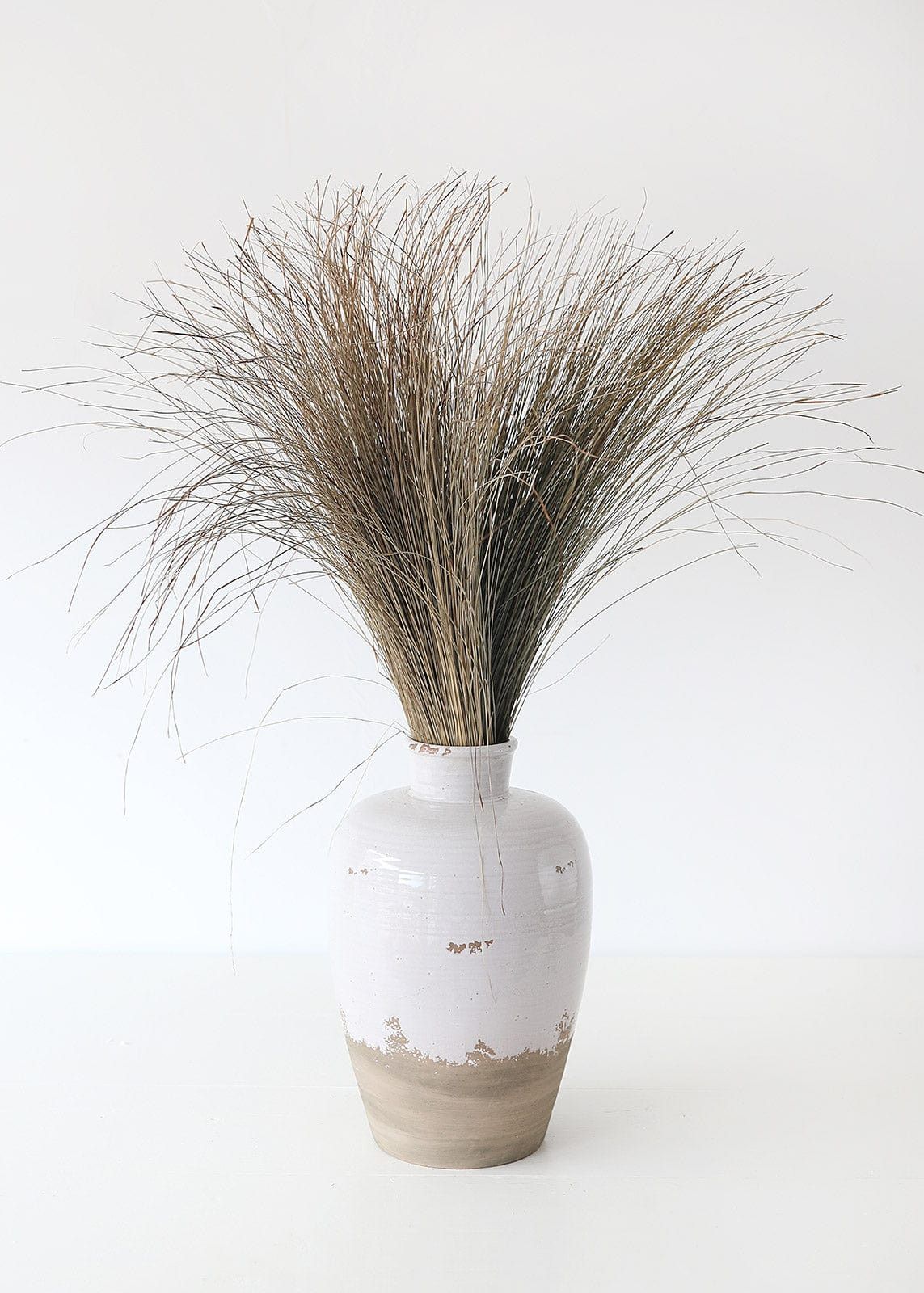 Green Dune Grass | Dried Grasses | Afloral.com | Afloral