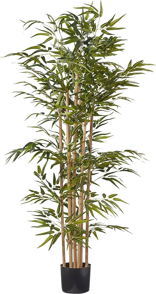 Nearly Natural 5253 Bamboo Silk Tree, 64-Inch, Green | Amazon (US)