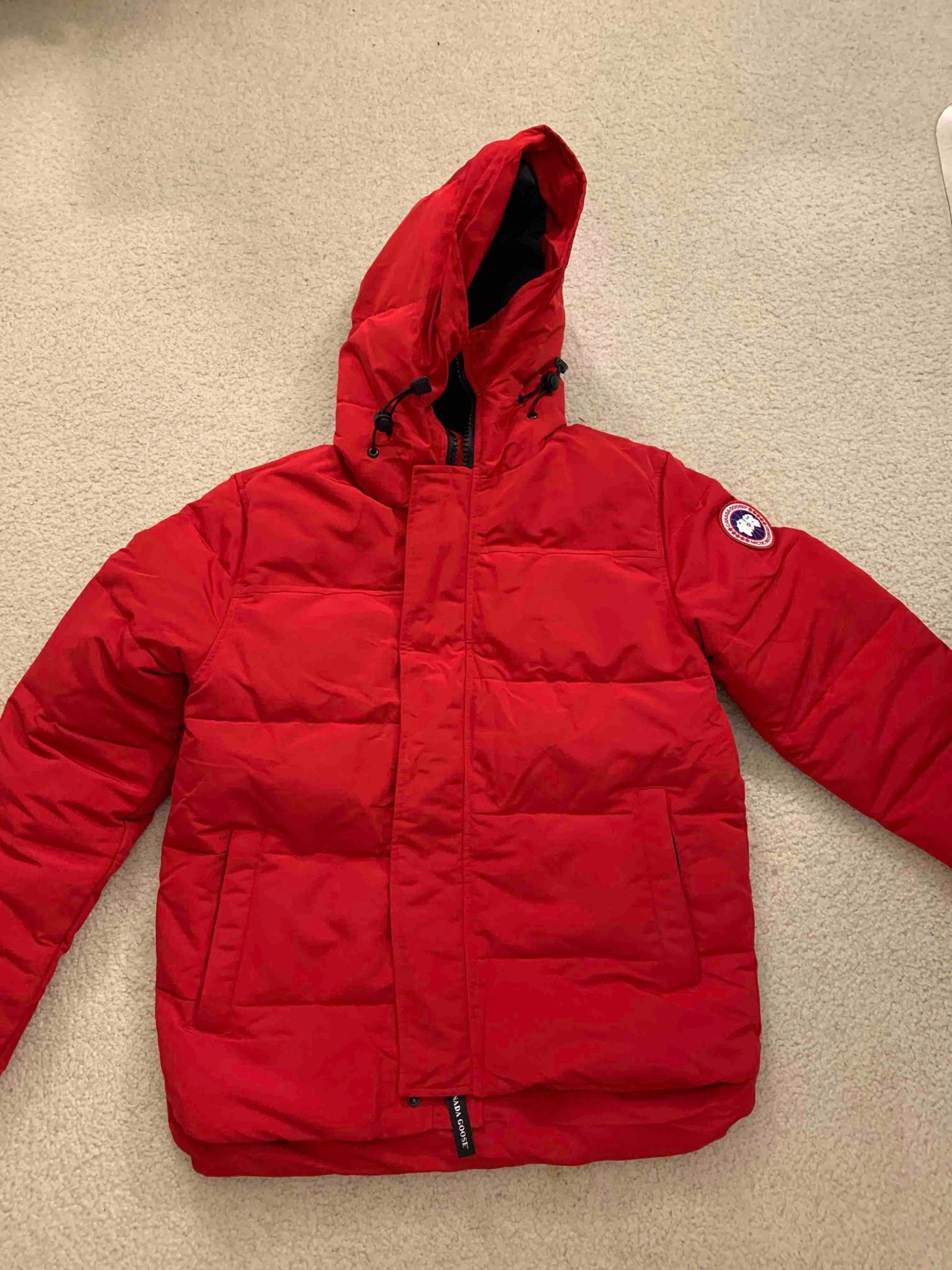 Canasa goose jacket coat dhgate 

#LTKSeasonal #LTKunder100 #LTKsalealert