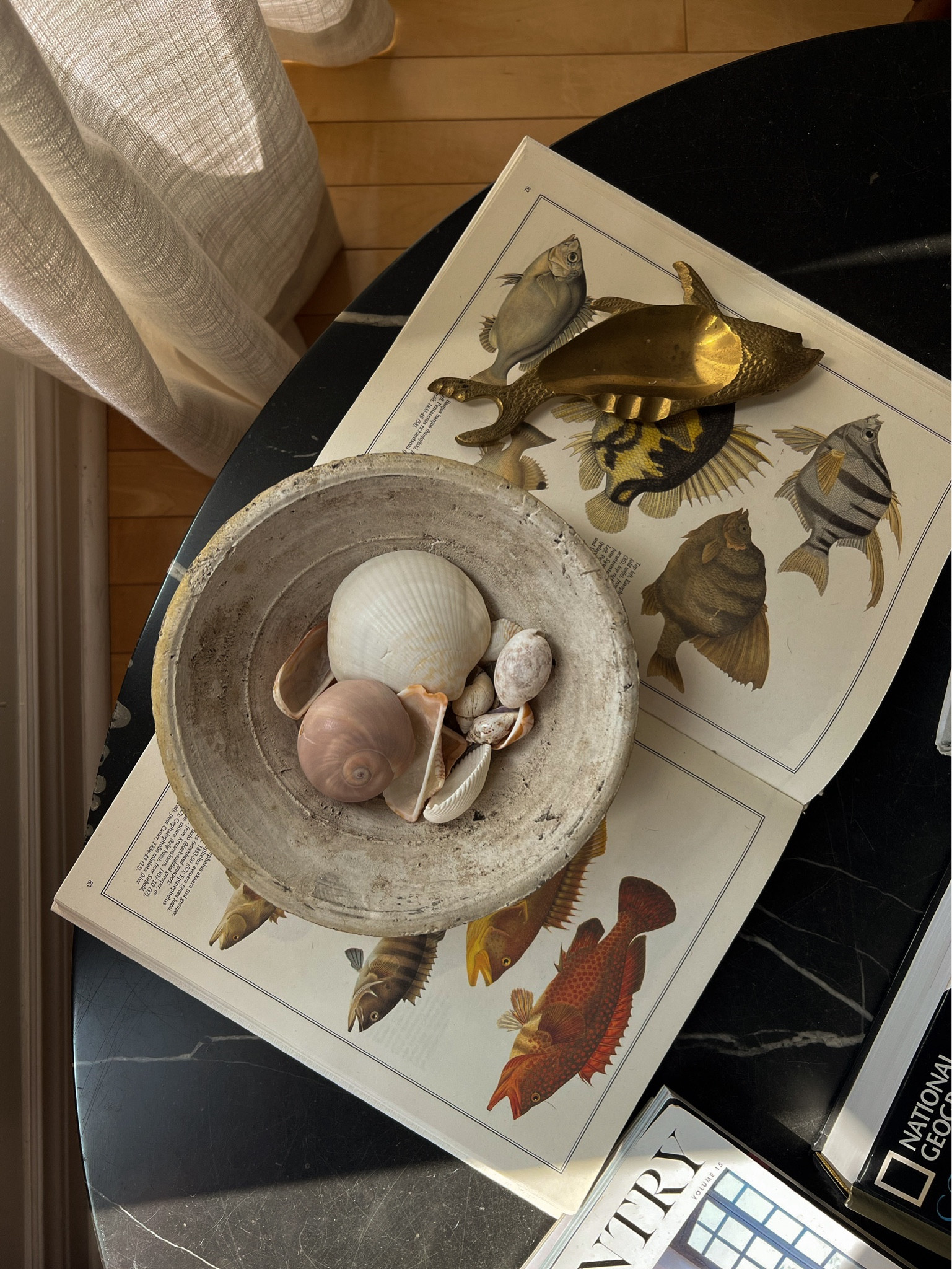 Coffee table, summer coffee table decor, brass home accents, brass decor, catchall dish, stone dish, decorative bowl, coastal living room, coastal home decor, coffee table books.

#LTKsummer 
#LTKstyletip
#LTKhome

#LTKcanada #LTKsummer #LTKstyletip