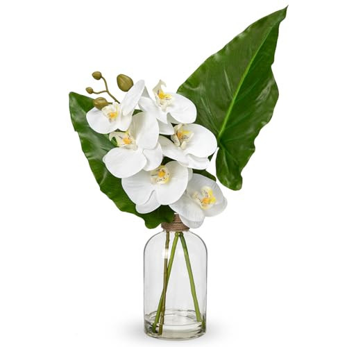 GnFlus Fake Plant and Faux Orchids in Glass Vase, 15.4" Realistic Faux Tropical Plants Artificial Orchids with Fake Water for Home Farmhouse Office Centerpiece Bathroom Kitchen Counter Décor | Amazon (US)