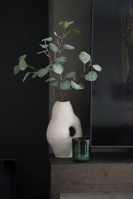 I just got the vase and am absolutely obsessed with its shape! An irregular shaped vase adds so much texture and interest to a room with very little effort or investment! Faux eucalyptus stems are my fave and this is the best winter candle ever  

#LTKunder50 #LTKhome #LTKFind