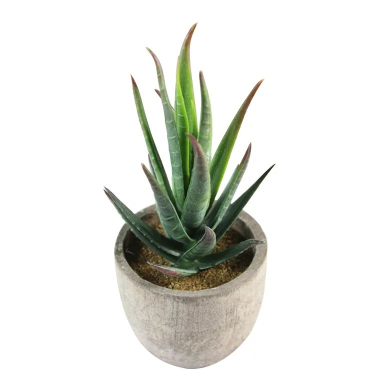 HEMOTON Decorative Faux Succulent Artificial Succulent Fake Simulation Plants with Gray Pots (032... | Walmart (US)