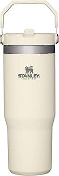 STANLEY IceFlow Stainless Steel Tumbler with Straw - Vacuum Insulated Water Bottle for Home, Offi... | Amazon (US)