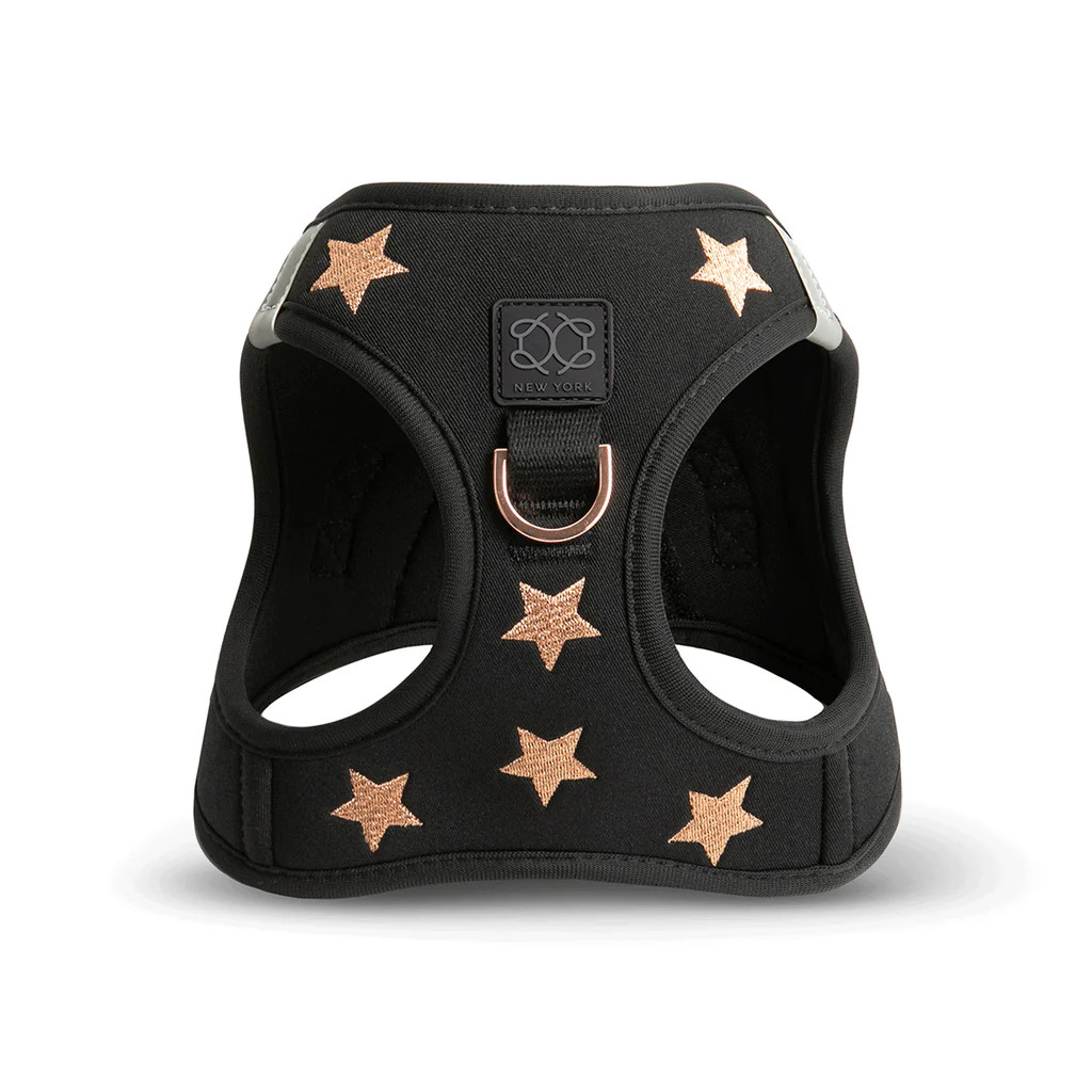 SoHo Dog Harness - Rockstar | DOGISTRY