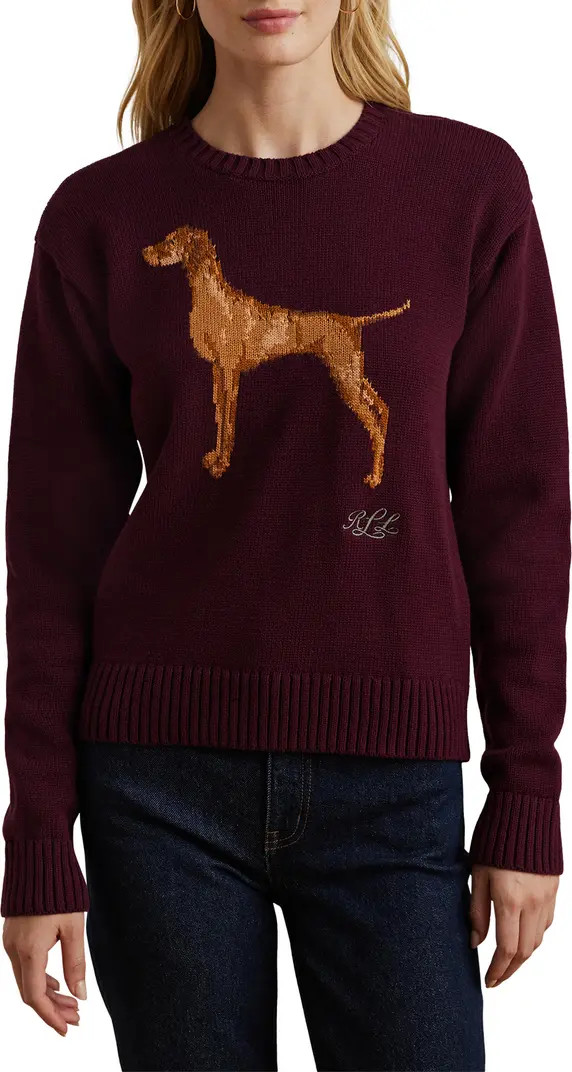 Intarsia Vizsla Cotton Sweater | Nordstrom