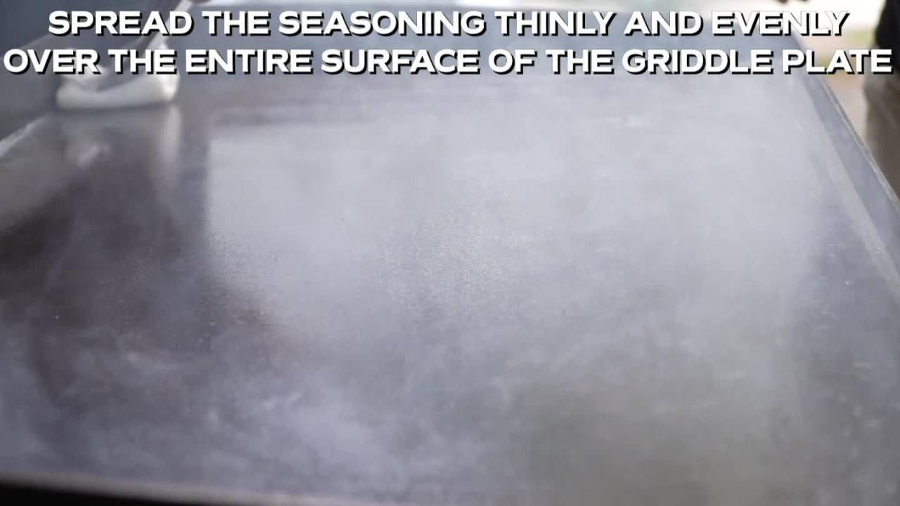 Blackstone Original Outdoor Griddle, 2-Burner 28” Propane Flat Top Grill with Hood, Black | Walmart (US)