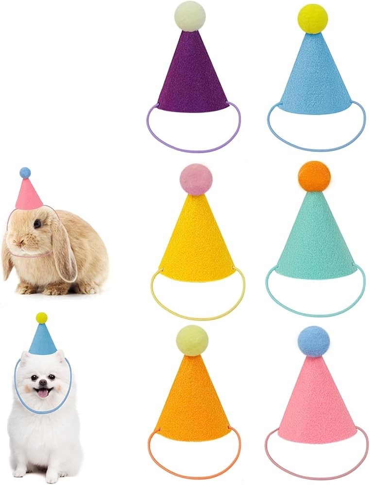 Mini Party Hats for Stuffed Animals, Birthday Party Cone Hats Dolls Dog Cat Rabbit Puppies Assort... | Amazon (US)