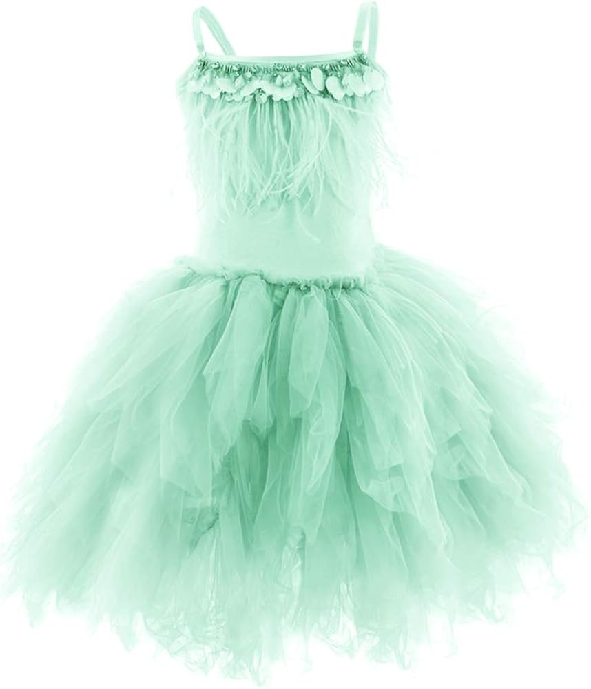 IBTOM CASTLE Kids Swan Princess Dance Costume Feather Ballerina Dress for Baby Girl Pageant Party... | Amazon (US)