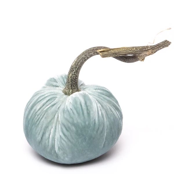 Seafoam Silk Velvet Pumpkin | Hot Skwash