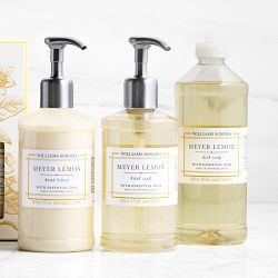 Hand Soap & Lotion 3-Piece Set | Williams-Sonoma