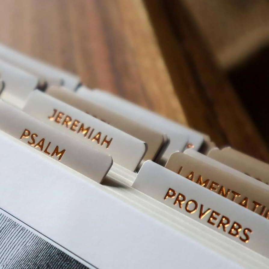 Salt & Light - Sand - Copper Foil - Matte Coated - Bible Tabs - Journaling - Beautiful Index Tabs... | Amazon (US)