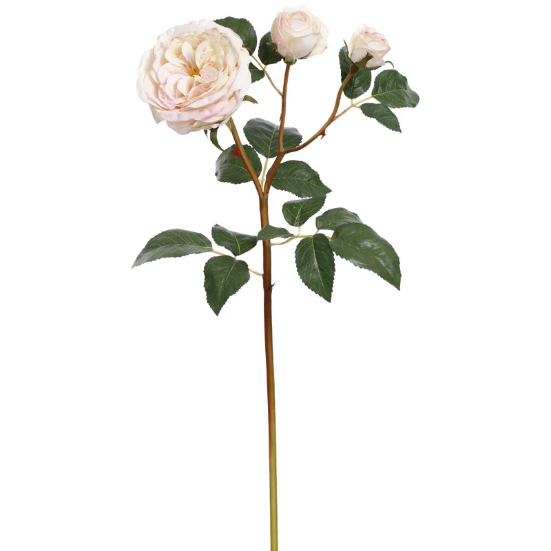 Cabbage Roses Stem (Set of 12) | Wayfair North America