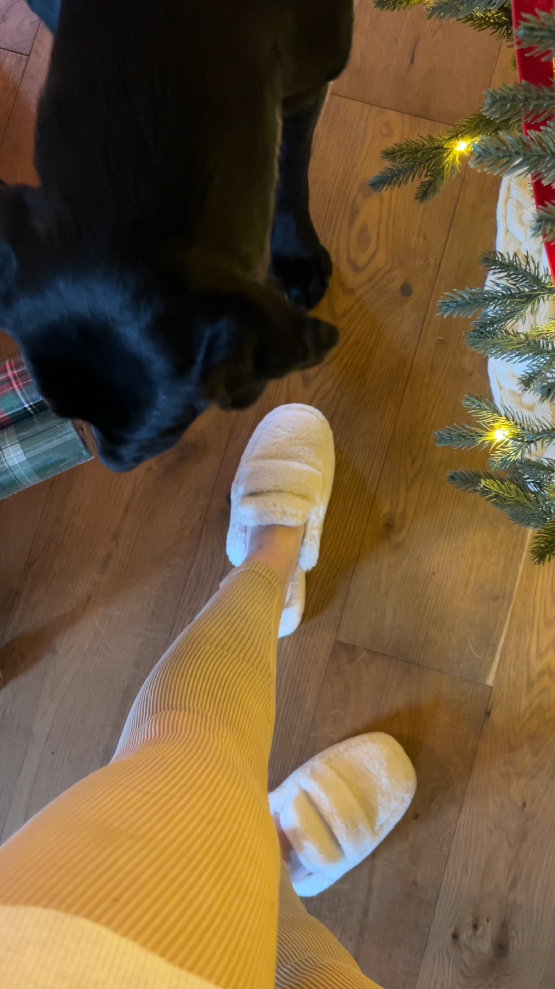 Cozy Slippers, Loafer Slippers, Gift Idea!

#LTKHoliday #LTKGiftGuide #LTKSaleAlert