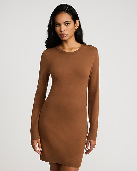Airy Soft Skimming Crew Neck Long Sleeve Mini Sweater Dress | Express