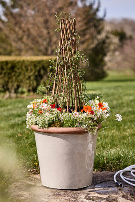 Woven Willow Cone Obelisk | Anthropologie (US)