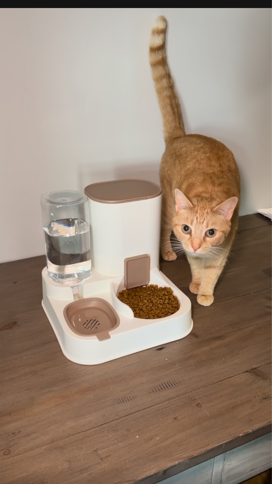 Worry free food and water dispenser for cats. I love that it has the self feeding option! 

#LTKSaleAlert #LTKHome