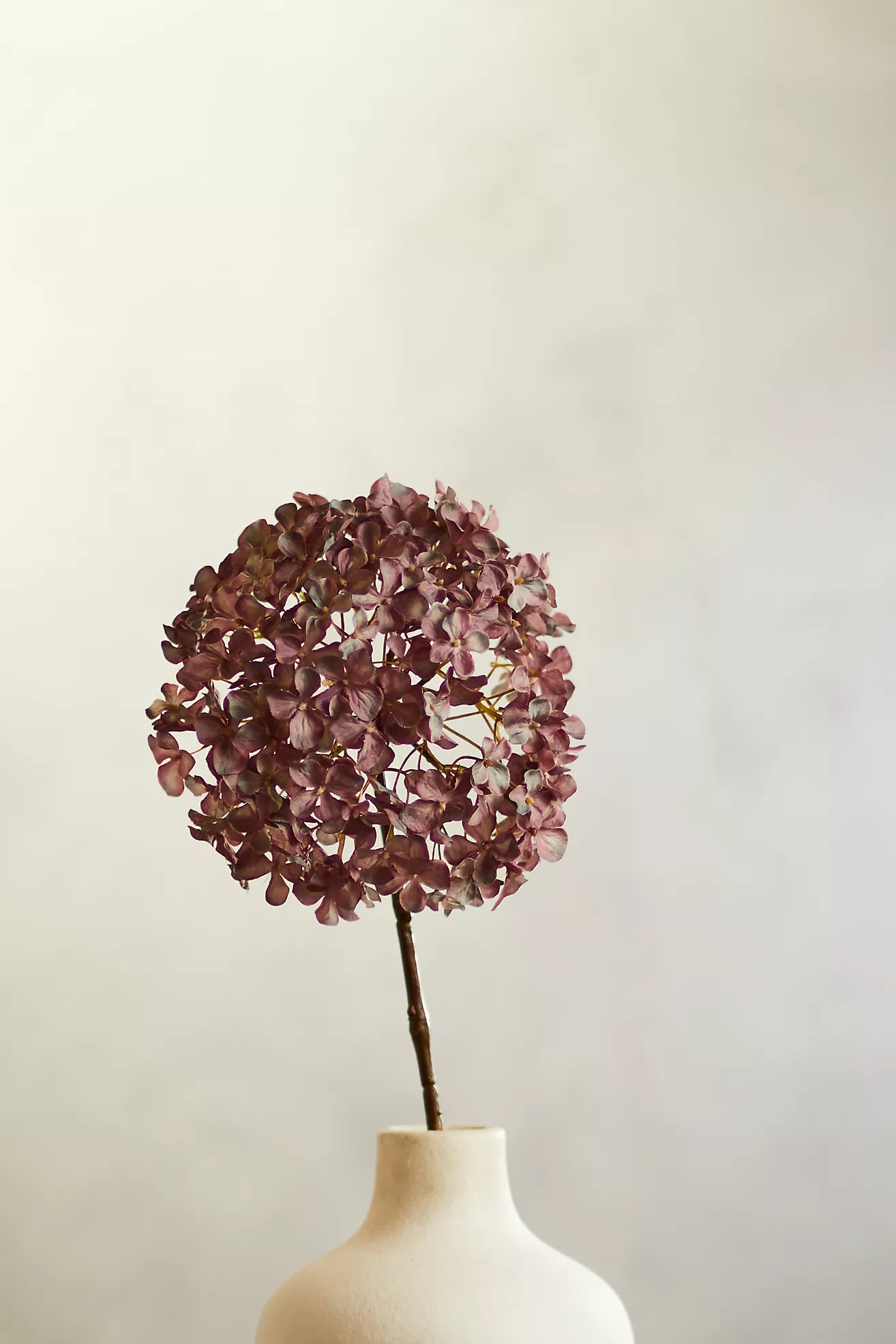 Faux Hydrangea Stem | Anthropologie (US)