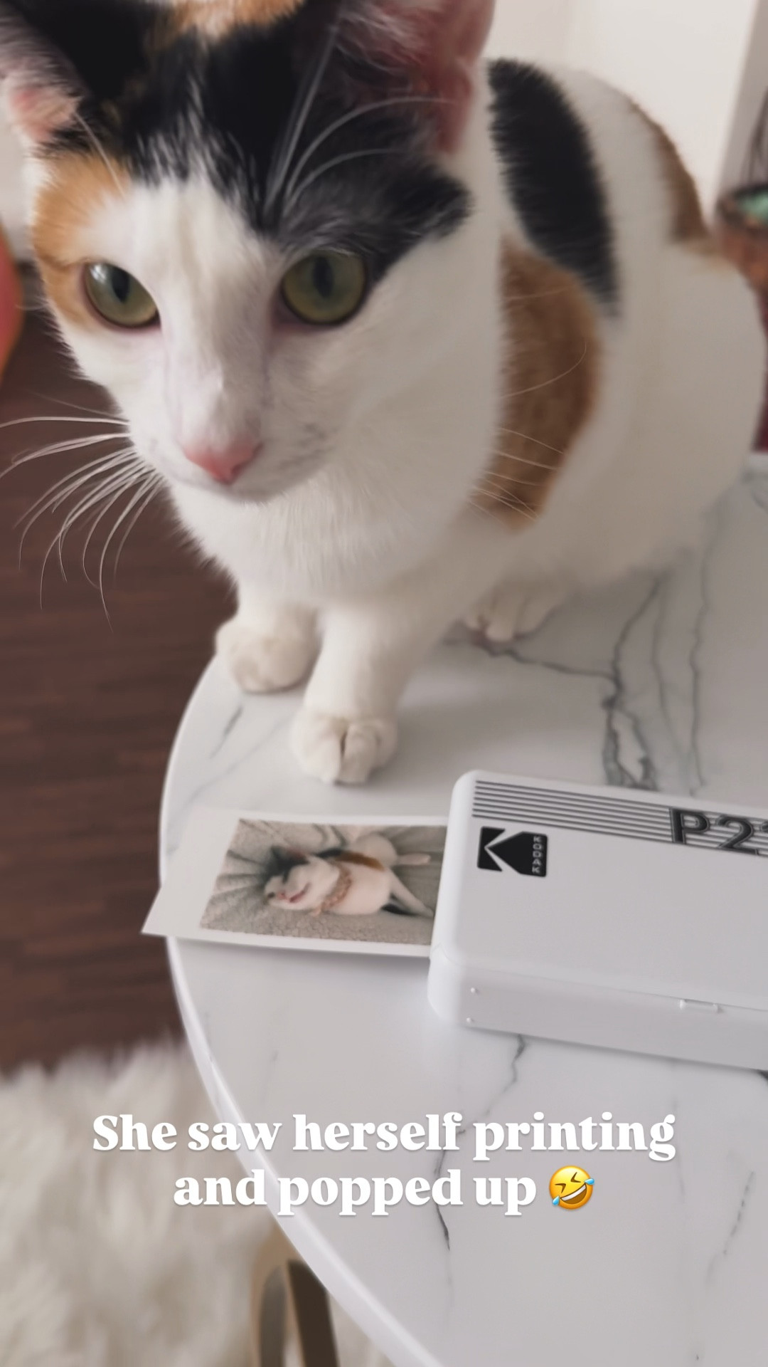 Instant photos as your fingertips and 🐾 I’ve been printing photos to fill out my vision board and Zinny my kitty is so fascinating by all the sounds it makes. This first time that she saw herself, she had to snatch it!🐱

#LTKdayinmylife #LTKmomlife #LTKHome