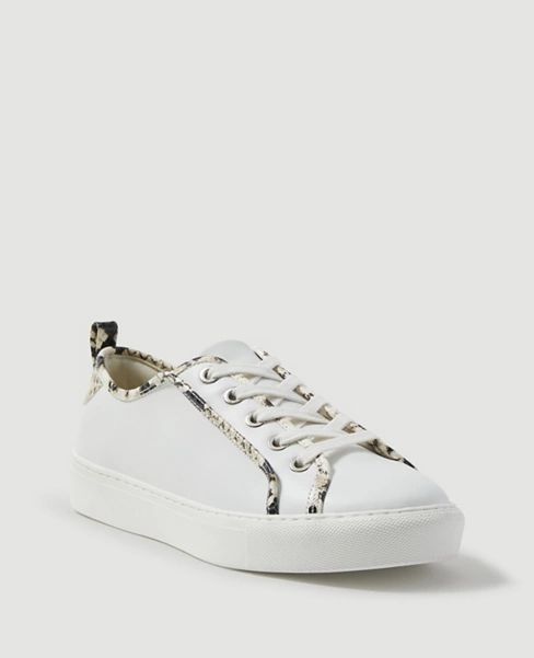 Natalia Snake Print Trim Leather Sneakers | Ann Taylor (US)