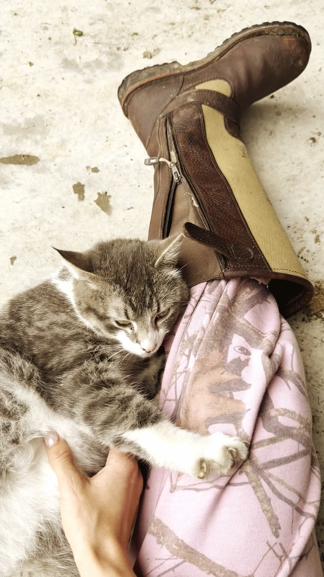 We found the sweetest cat in Steven’s barn… what should we name him?! 

My boots are the best barn boots ever! I’ve had this style for 15 years growing up farming and ranching. They are the best and true to size! Also snake proof!

My set is Tribe Kelley, this pink camo is everything. Wearing a size small! 


#LTKdayinmylife #LTKootd #LTKgrwm