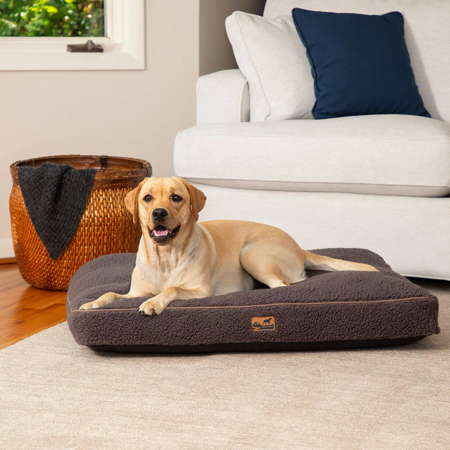 Ridge Creek Plush Lounger Pet Bed, 27" x 36" (Choose Color) | Sam's Club