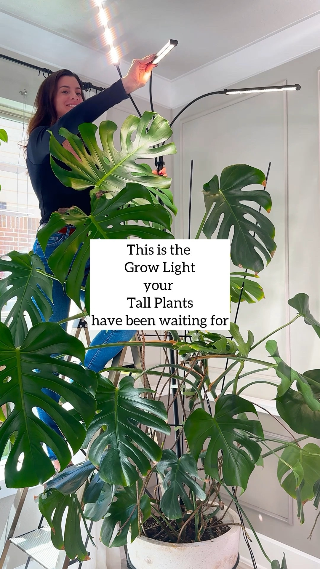 Use code JACQUELYN on Sansi’s website for a 30% discount 💡

This @sansi LED Standing Grow light solves two problems right away. It saves floor space and it actually reaches your tall plants.

It goes straight into the soil, so your setup stays clean with no extra clutter.

You can adjust the height from 79 to 90 inches, which means it keeps up as your plants grow.

The 360 degree flexible gooseneck lets you position the light exactly where your plants need it most.

It also comes with a remote control, so you can dim the light and set a timer without having to move anything.

The tripod style ground stake keeps it stable and secure right in your planter.

It uses ceramic heat dissipation technology to help protect your plants while running for longer periods.

#plantcare #growlights #houseplants #plantlover #indoorgardening #plantsetup

standing LED grow light | tall plant grow light | adjustable grow light 79 to 90 inches | indoor plant lighting | grow light with ground stake

#LTKU #LTKmomlife #LTKHome