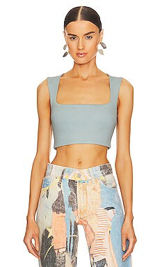 Celestial Stretch Top
                    
                    DANIELLE GUIZIO
                
 ... | Revolve Clothing (Global)