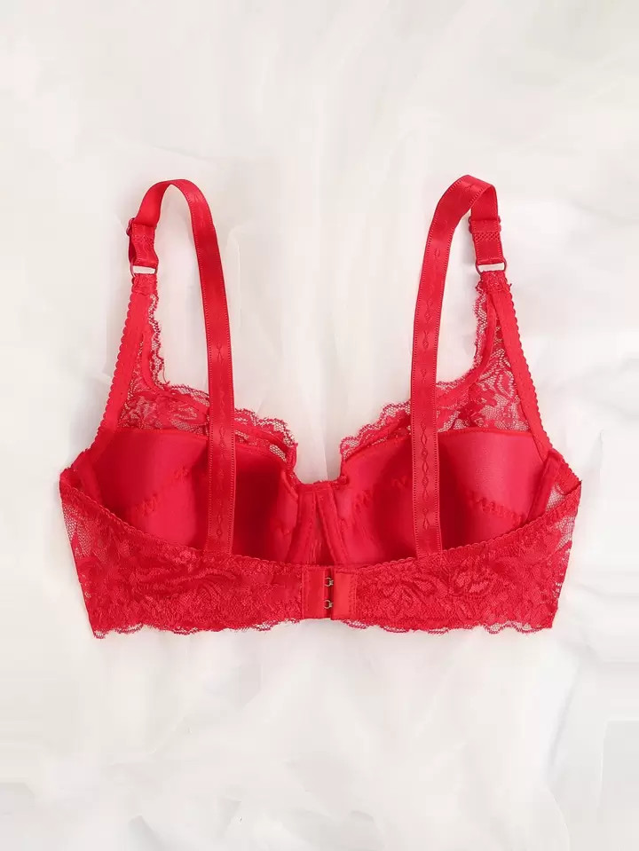 Bow Detail Lace Underwire Bra Lingerie | SHEIN