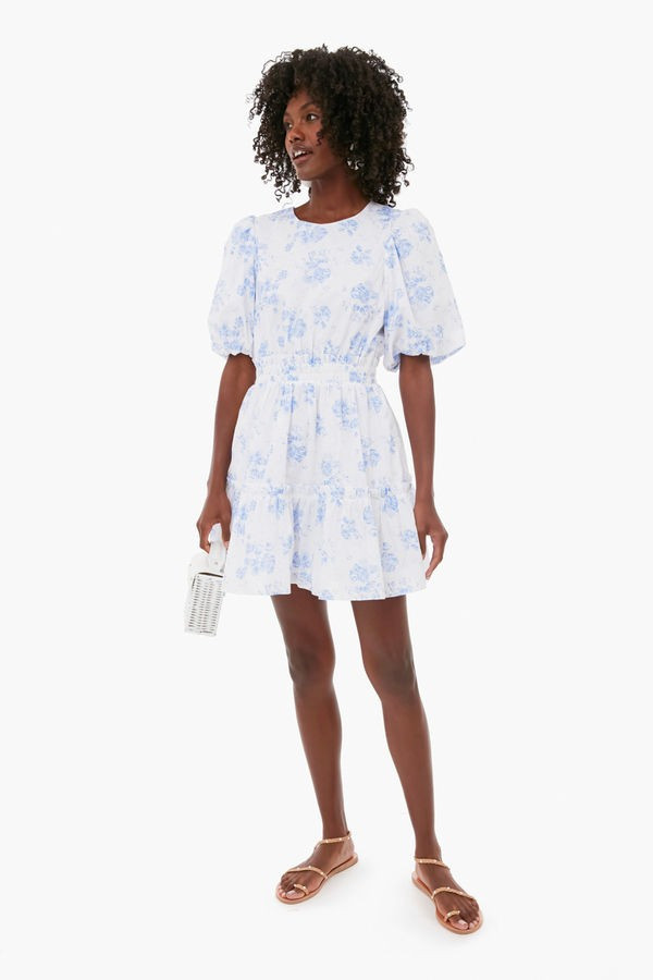 Blue Chintz Terry Mini Dress | Tuckernuck (US)