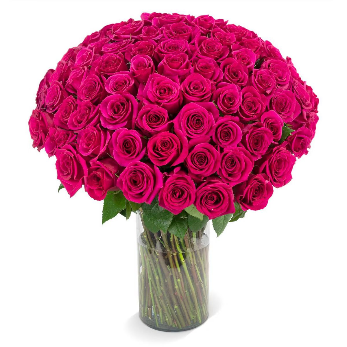 Fresh Cut 100-stem Hot Pink Rose Bouquet | Target