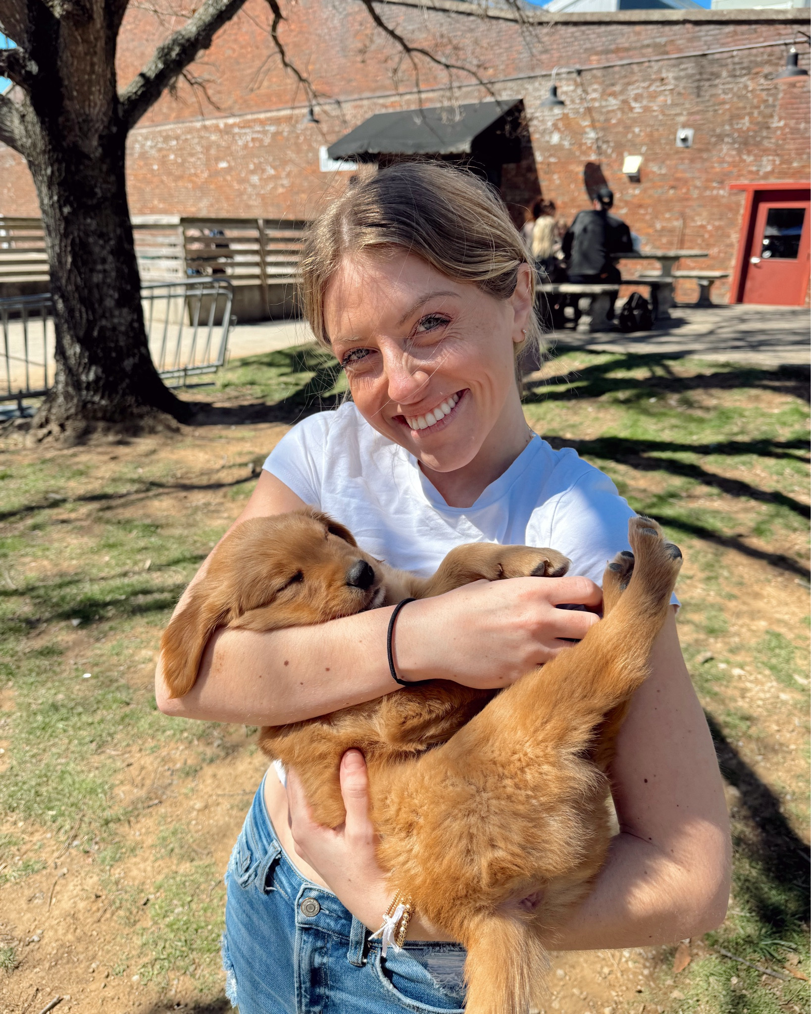 Sorry I couldn’t find the link for the puppy 



#LTKStyleTip #LTKBeauty #LTKSeasonal