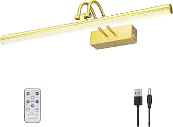 RAIFOOLLY Picture Light, 20in Battery Operated Picture Lights for Paintings,Metal Remote Display ... | Amazon (US)