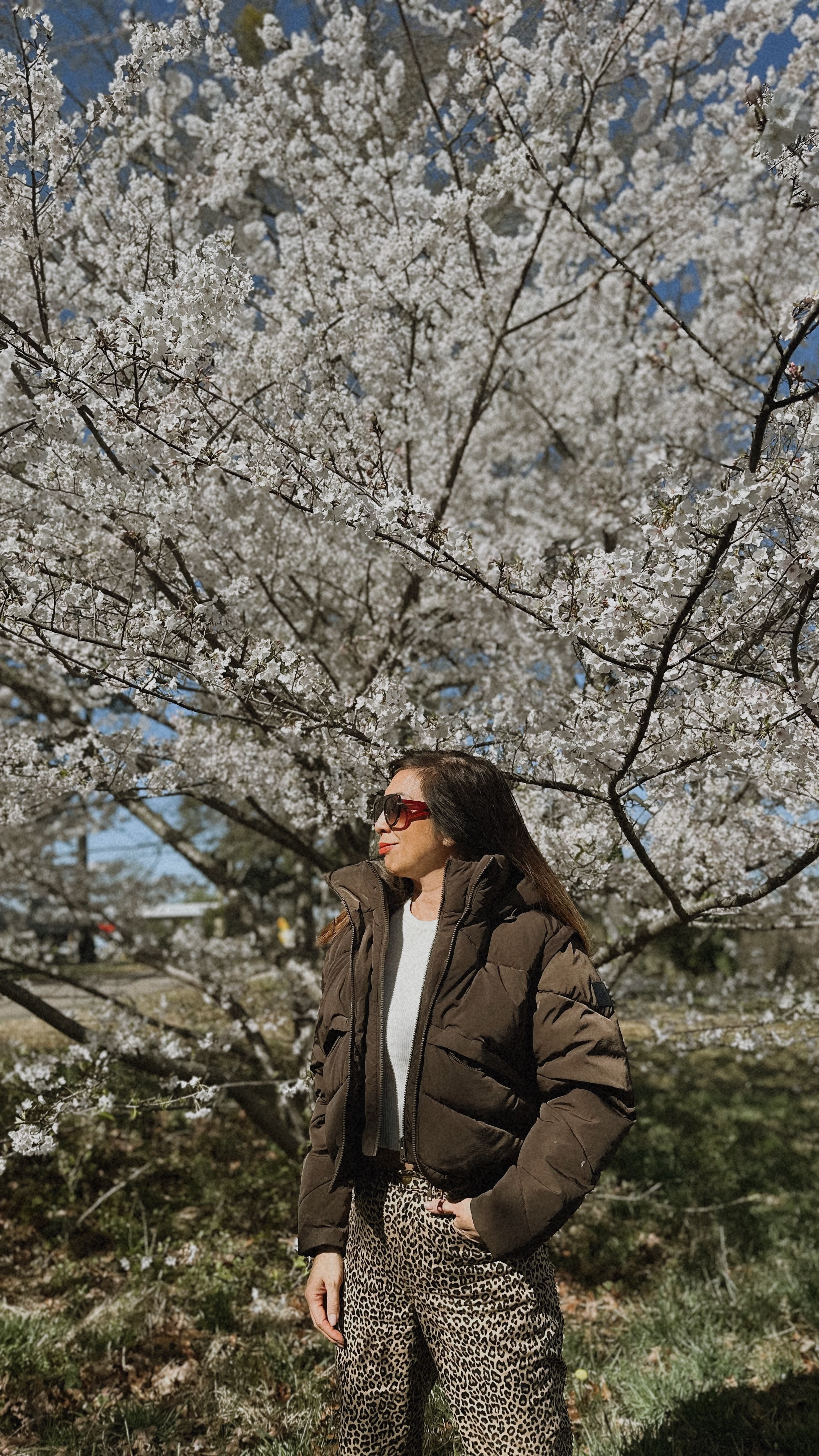 Alo puffer jacket goes with everything.

#LTKOver40 #LTKActive #LTKStyleTip