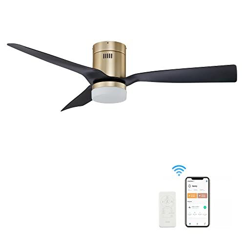 SMAAIR 52 Inch Smart Ceiling Fan with Lights, 10-speed DC Motor Ceiling Fan Works with Remote Contro | Amazon (US)