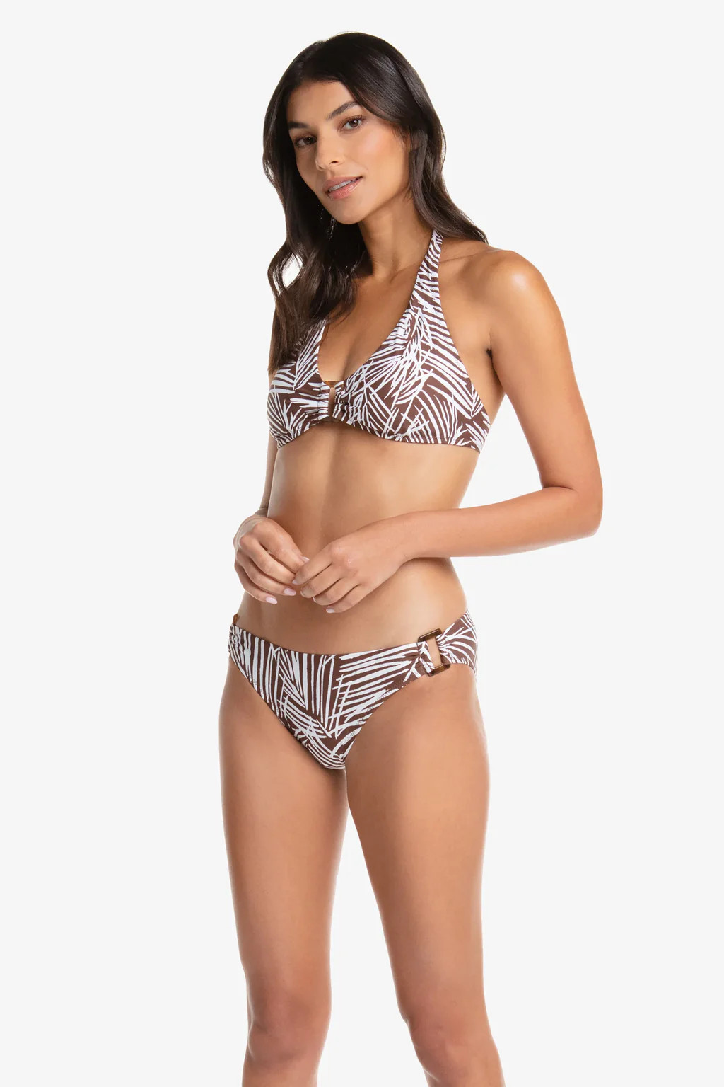 Tortoise Hipster  |  Paradise Palm | Helen Jon