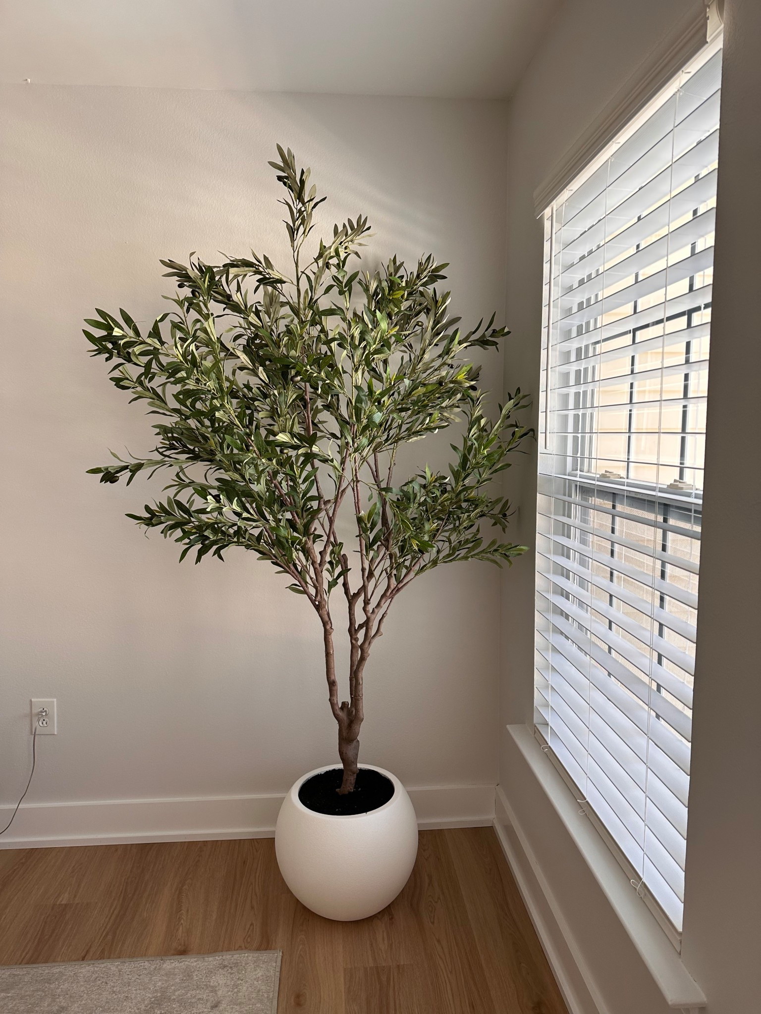 Sam’s Club artificial 7 foot olive tree in oversized white pot. I’ve been eyeing this for a few months and was so excited to see it go on sale!! Selling quickly so don’t miss out🏃🏼‍♀️ it looks just like more expensive ones I’ve been seeing on other sites and honestly it looks so real in person! I’m picky when it comes to faux plants/greenery and this is so good 

Faux tree, faux plant, artificial tree, olive tree, house plant, faux greenery

#LTKSaleAlert #LTKSeasonal #LTKHome
