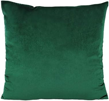 Christmas Emerald Green 20x20 Velvet Throw Pillow Covers Spring Decorative Square Soft Solid Cush... | Amazon (US)