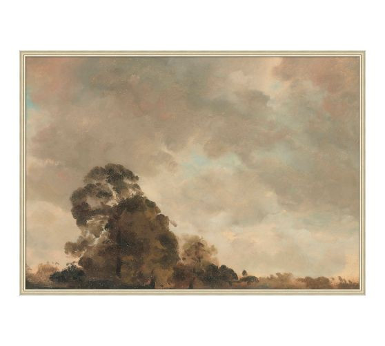 Study of the Heavens Framed Canvas | Pottery Barn (US)