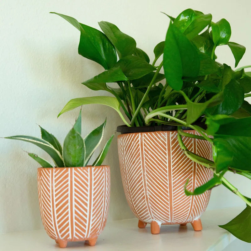 Mcdorman Handmade Ceramic Pot Planter (Set of 2) | Wayfair North America