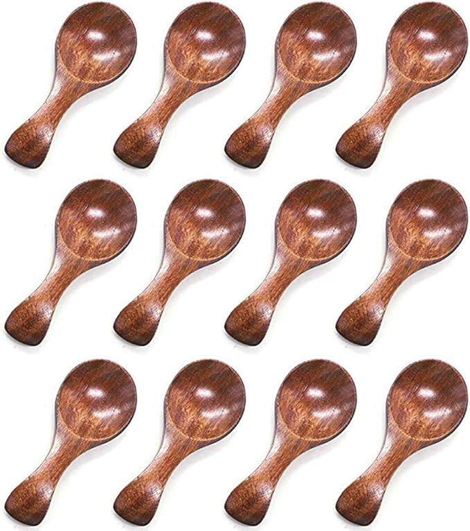 HANSGO Small Wooden Spoon, 10PCS 3 inches Ice Cream Salt Spoon Honey Coffee Tea Sugar Salt Jam Mu... | Amazon (US)