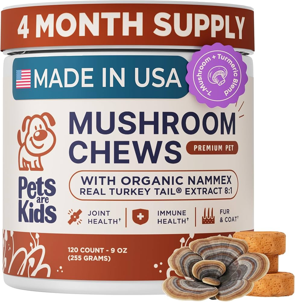 Pets are Kids Turkey Tail Mushroom for Dogs with Organic Real Turkey Tail™ - 8:1 Extract Mushro... | Amazon (US)